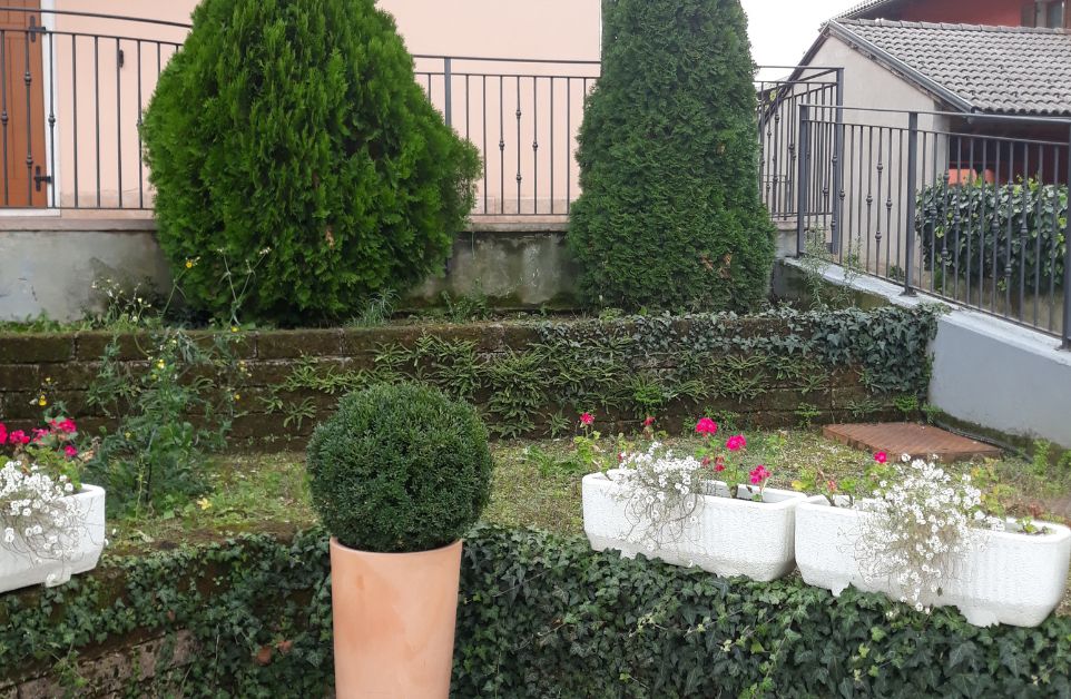 realizzazione e cura dei giardini trento e rovereto (16).jpg